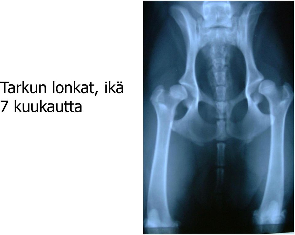 ikä 7