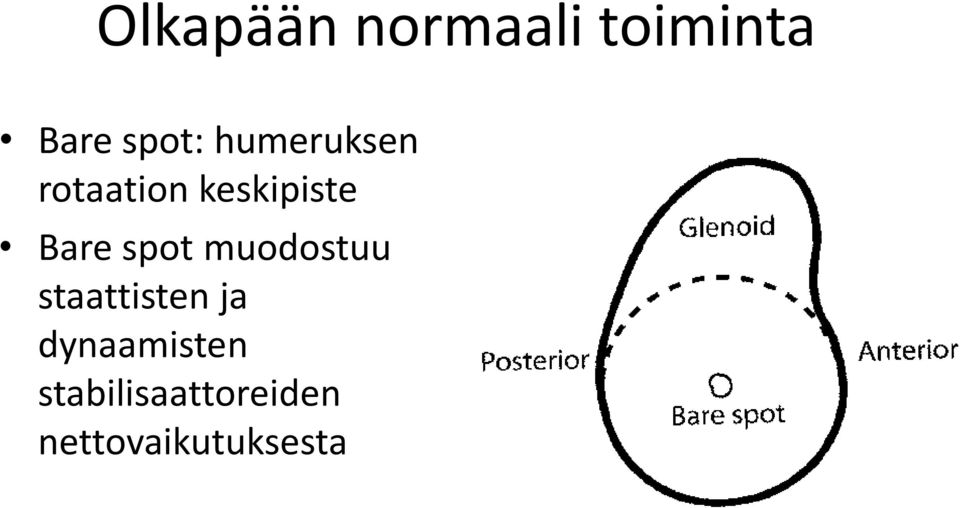 spot muodostuu staattisten ja