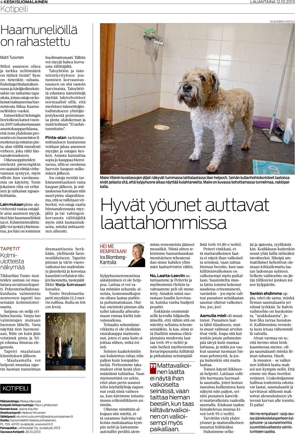 Esimerkiksi Helsingin hovioikeus katsoi vuonna 2007 ratkaisemassaan asuntokauppariidassa, että noin yhdeksän prosentin ero huoneiston ilmoitetun ja mitatun pinta-alan välillä muodosti virheen, joka