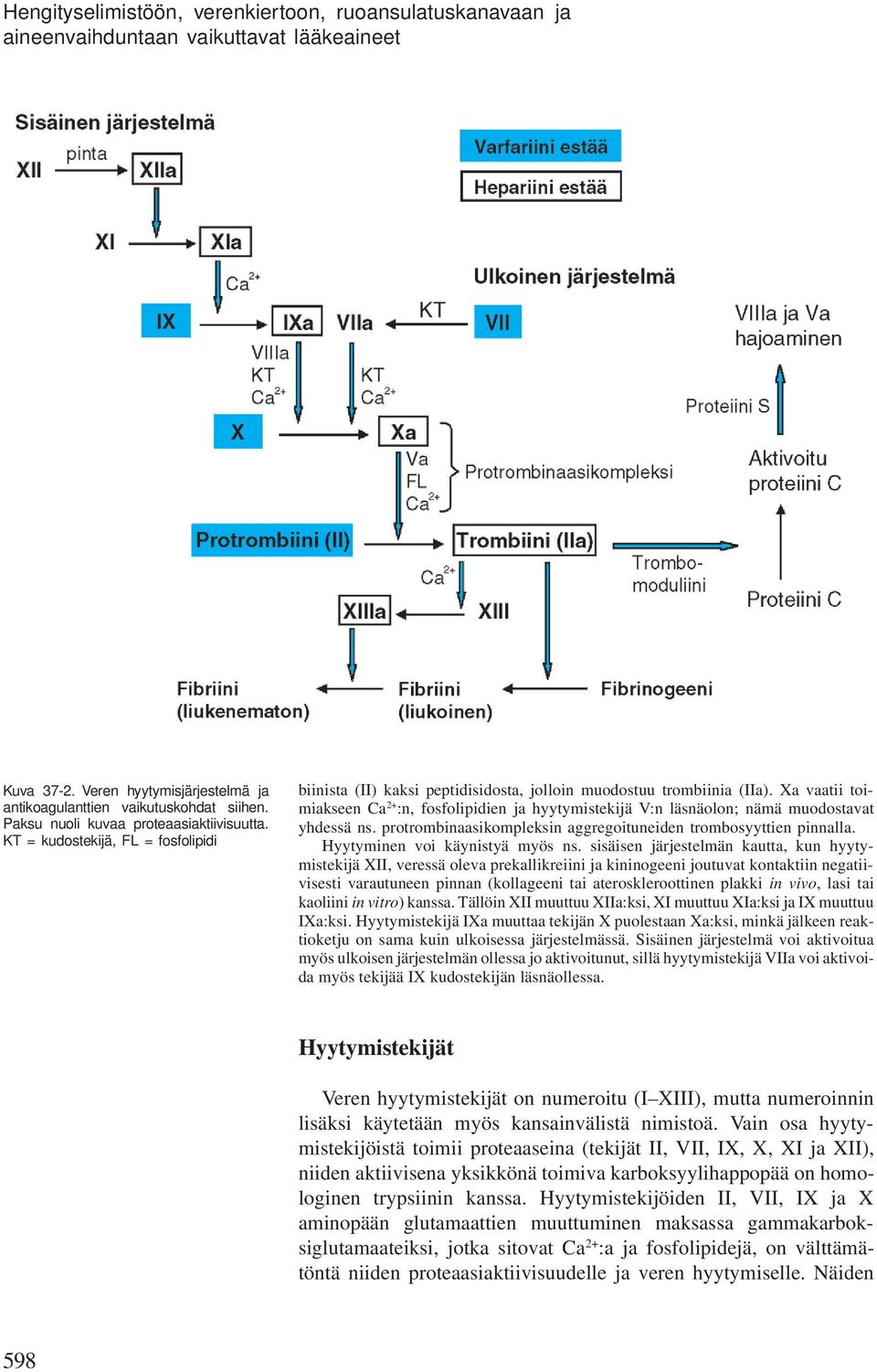 Xa vaatii toiiakseen Ca 2+ :n, fosfolipidien ja hyytyistekijä V:n läsnäolon; nää uodostavat yhdessä ns. protrobinaasikopleksin aggregoituneiden trobosyyttien pinnalla. Hyytyinen voi käynistyä yös ns.