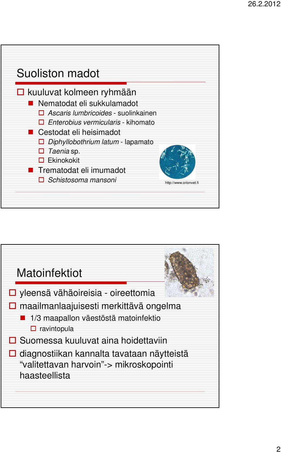 orionvet.