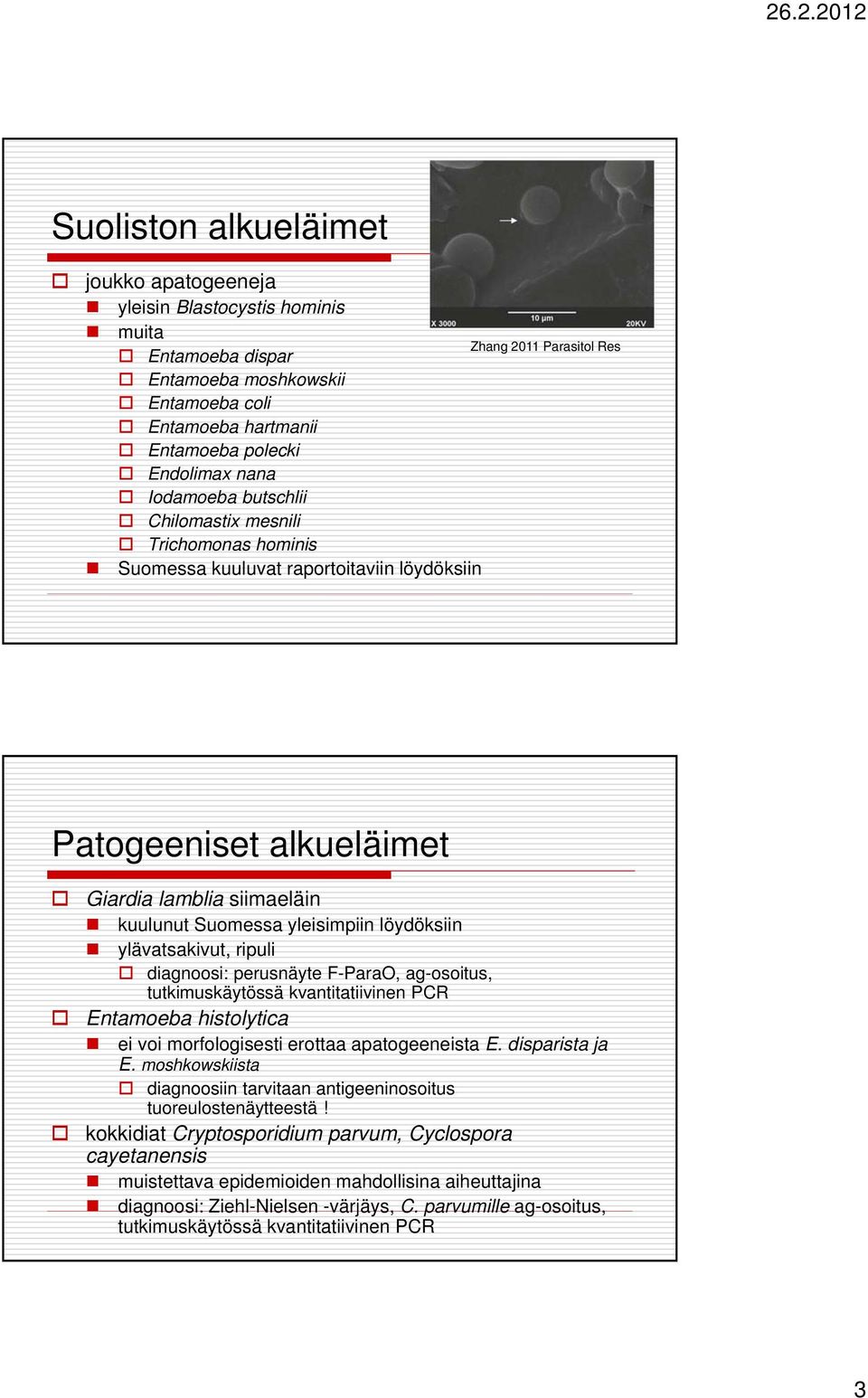 yleisimpiin löydöksiin ylävatsakivut, ripuli diagnoosi: perusnäyte F-ParaO, ag-osoitus, tutkimuskäytössä kvantitatiivinen PCR Entamoeba histolytica ei voi morfologisesti erottaa apatogeeneista E.