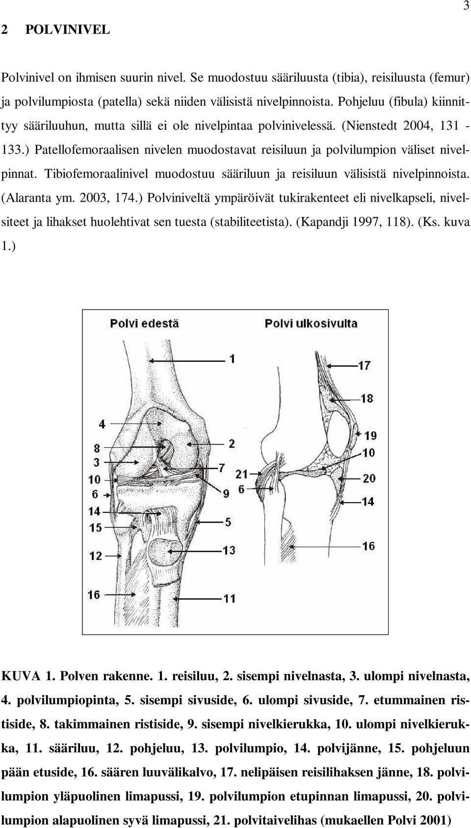 ) Patellofemoraalisen nivelen muodostavat reisiluun ja polvilumpion väliset nivelpinnat. Tibiofemoraalinivel muodostuu sääriluun ja reisiluun välisistä nivelpinnoista. (Alaranta ym. 2003, 174.