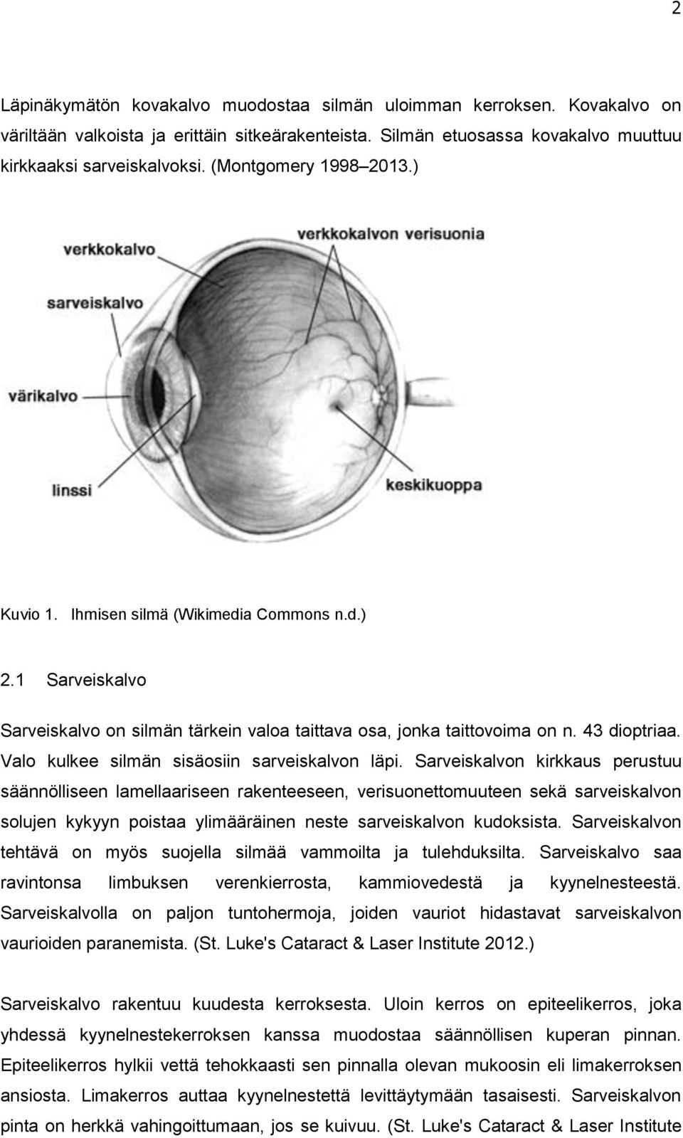 Valo kulkee silmän sisäosiin sarveiskalvon läpi.