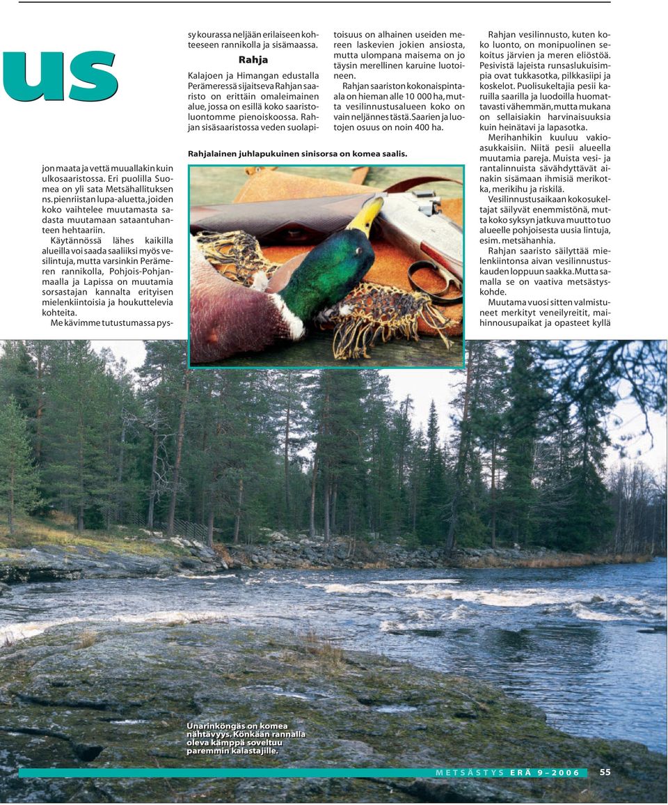 Käytännössä lähes kaikilla alueilla voi saada saaliiksi myös vesilintuja, mutta varsinkin Perämeren rannikolla, Pohjois-Pohjanmaalla ja Lapissa on muutamia sorsastajan kannalta erityisen