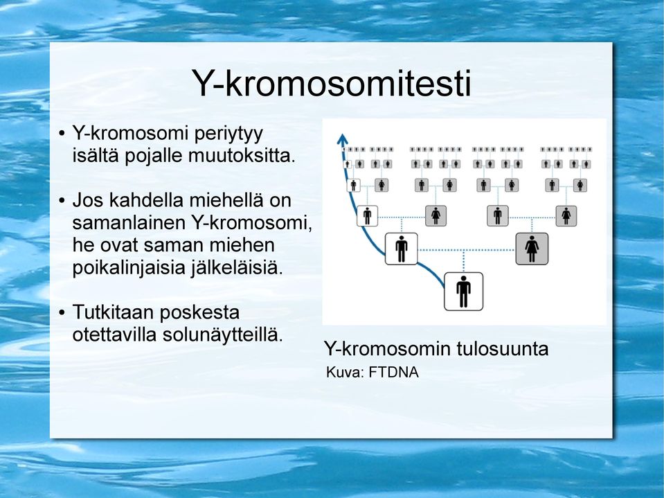 Jos kahdella miehellä on samanlainen Y-kromosomi, he ovat