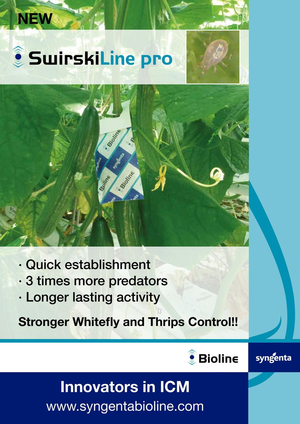 lasting activity Stronger Whitefly and Thrips