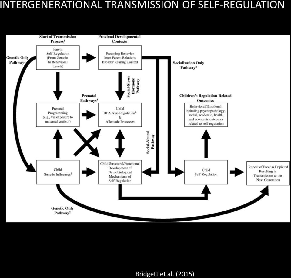 SELF-REGULATION