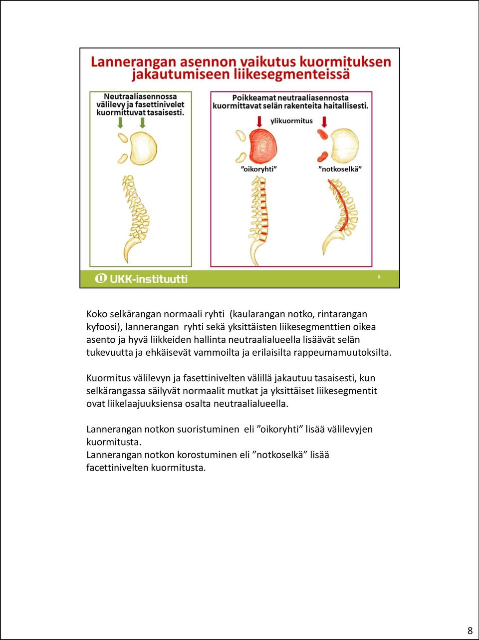 Kuormitus välilevyn ja fasettinivelten välillä jakautuu tasaisesti, kun selkärangassa säilyvät normaalit mutkat ja yksittäiset liikesegmentit ovat