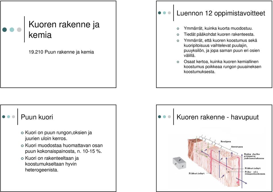 Osaat kertoa, kuinka kuoren kemiallinen koostumus poikkeaa rungon puuaineksen koostumuksesta.