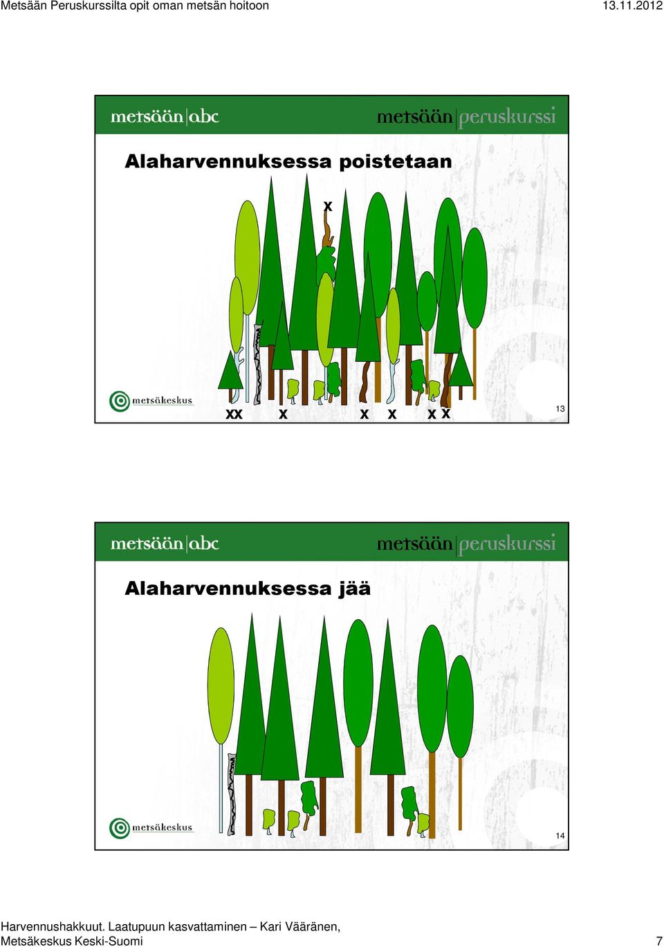 x 13  jää 14 Metsäkeskus