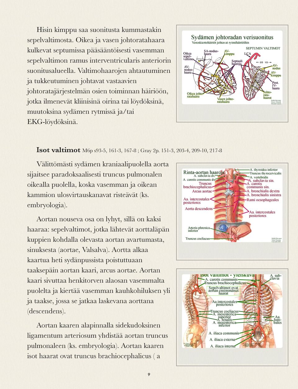 EKG-löydöksinä.