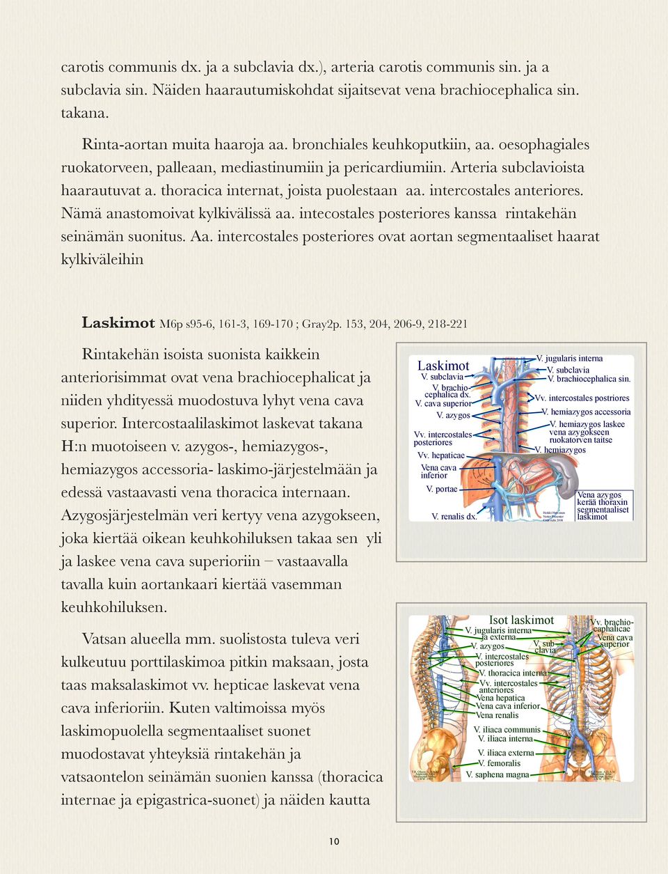 intercostales anteriores. Nämä anastomoivat kylkivälissä aa. intecostales posteriores kanssa rintakehän seinämän suonitus. Aa.