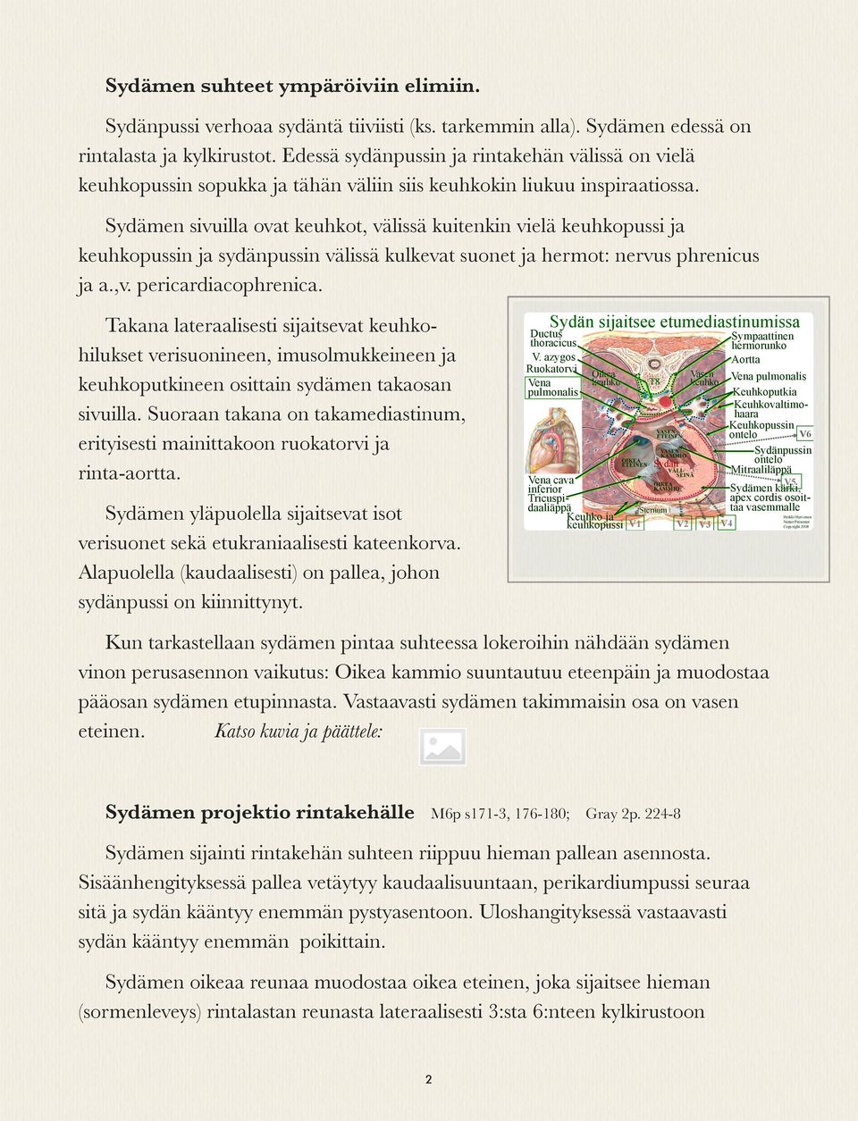 Sydämen sivuilla ovat keuhkot, välissä kuitenkin vielä keuhkopussi ja keuhkopussin ja sydänpussin välissä kulkevat suonet ja hermot: nervus phrenicus ja a.,v. pericardiacophrenica.