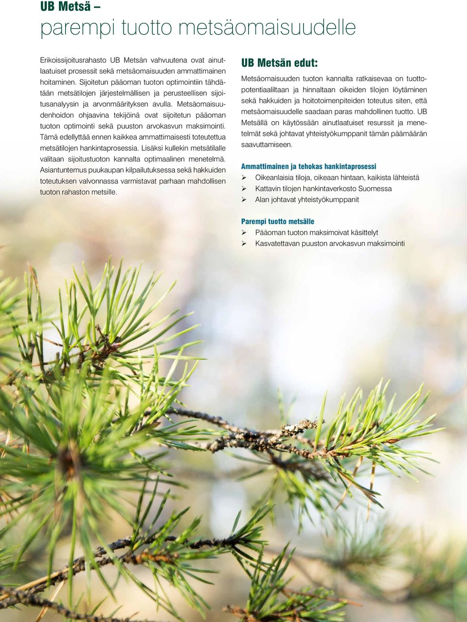 Metsäomaisuudenhoidon ohjaavina tekijöinä ovat sijoitetun pääoman tuoton optimointi sekä puuston arvokasvun maksimointi.