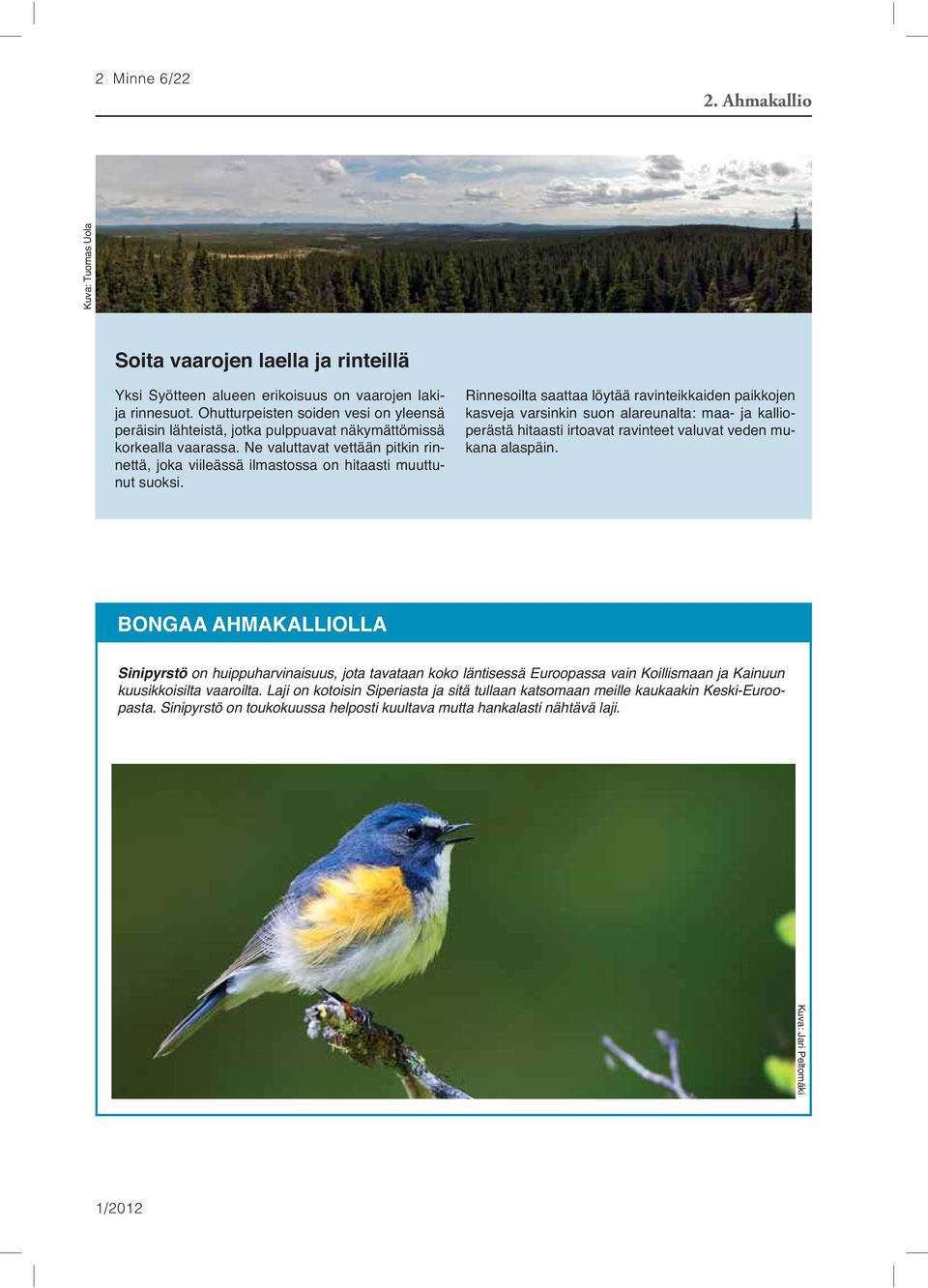 Ne valuttavat vettään pitkin rinnettä, joka viileässä ilmastossa on hitaasti muuttunut suoksi.