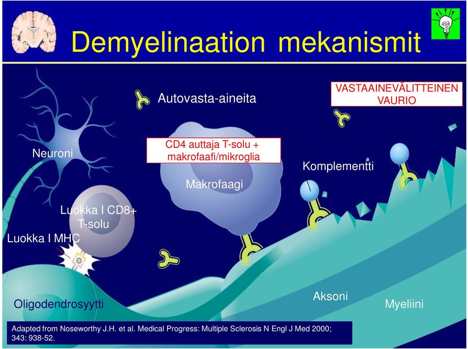 Makrofaagi Komplementti Oligodendrosyytti Aksoni Myeliini Adapted from