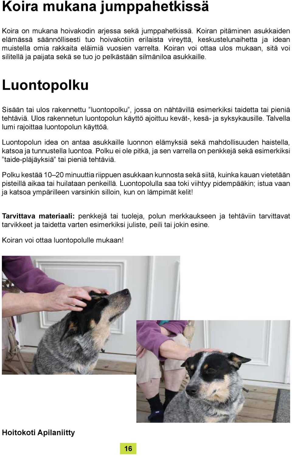 Koiran voi ottaa ulos mukaan, sitä voi silitellä ja paijata sekä se tuo jo pelkästään silmäniloa asukkaille.