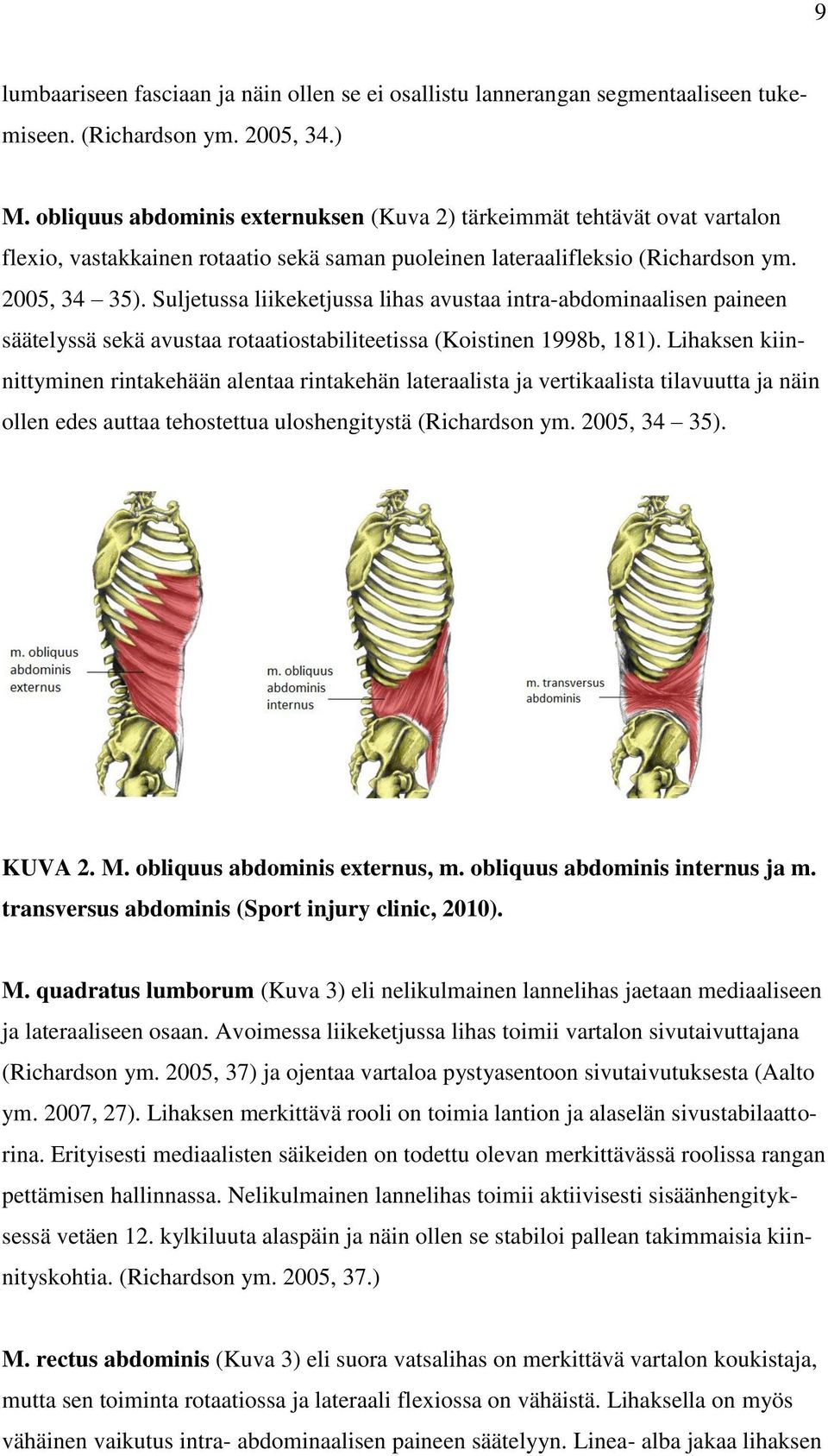 Suljetussa liikeketjussa lihas avustaa intra-abdominaalisen paineen säätelyssä sekä avustaa rotaatiostabiliteetissa (Koistinen 1998b, 181).