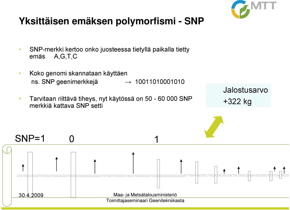 SNP geenimerkkejä 10011010001010 Tarvitaan riittävä tiheys, nyt käytössä on 50-60 000 SNP merkkiä