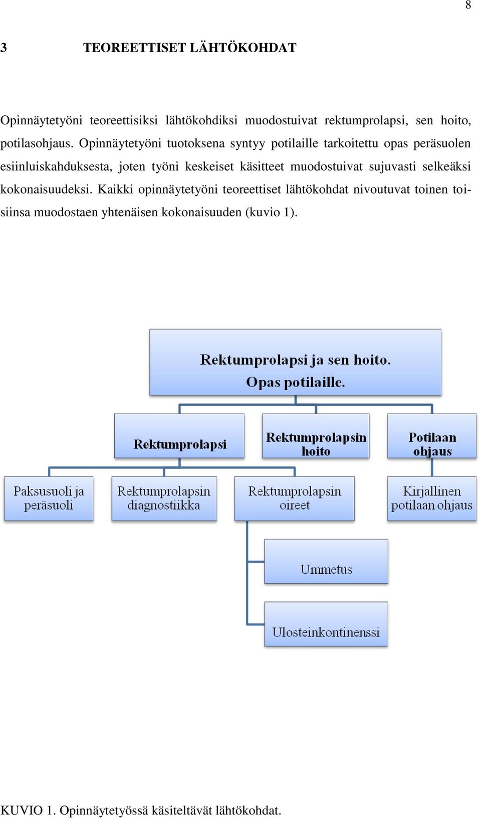 Opinnäytetyöni tuotoksena syntyy potilaille tarkoitettu opas peräsuolen esiinluiskahduksesta, joten työni keskeiset