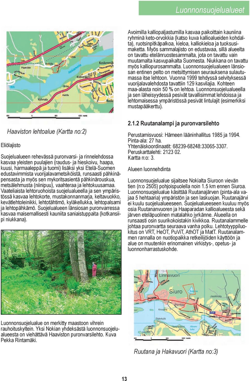 Luonnonsuojelualueen länsiosan entinen pelto on metsittymisen seurauksena sulautumassa itse lehtoon. Vuonna 1999 tehdyssä selvityksessä vuorijalavalehdosta tavattiin 129 kasvilajia.