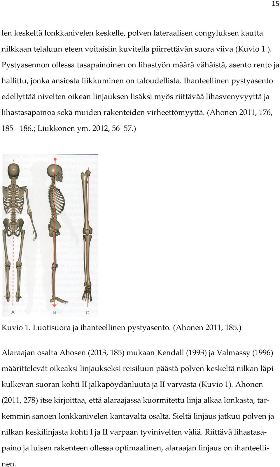 Ihanteellinen pystyasento edellyttää nivelten oikean linjauksen lisäksi myös riittävää lihasvenyvyyttä ja lihastasapainoa sekä muiden rakenteiden virheettömyyttä. (Ahonen 2011, 176, 185-186.