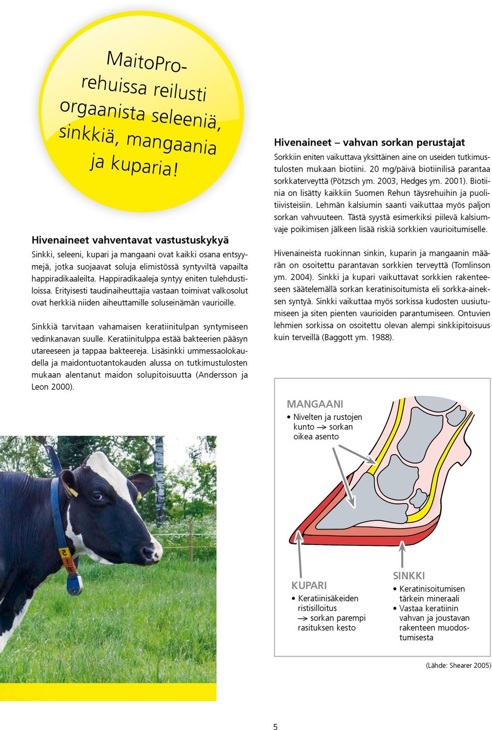 Happiradikaaleja syntyy eniten tulehdustiloissa. Erityisesti taudinaiheuttajia vastaan toimivat valkosolut ovat herkkiä niiden aiheuttamille soluseinämän vaurioille.