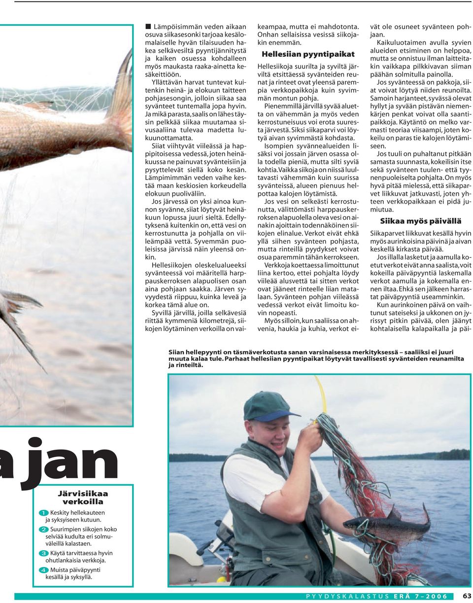 Ja mikä parasta,saalis on lähes täysin pelkkää siikaa muutamaa sivusaaliina tulevaa madetta lukuunottamatta.