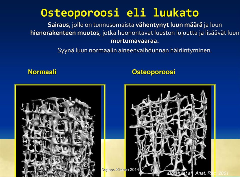 lujuutta ja lisäävät luun murtumavaaraa.