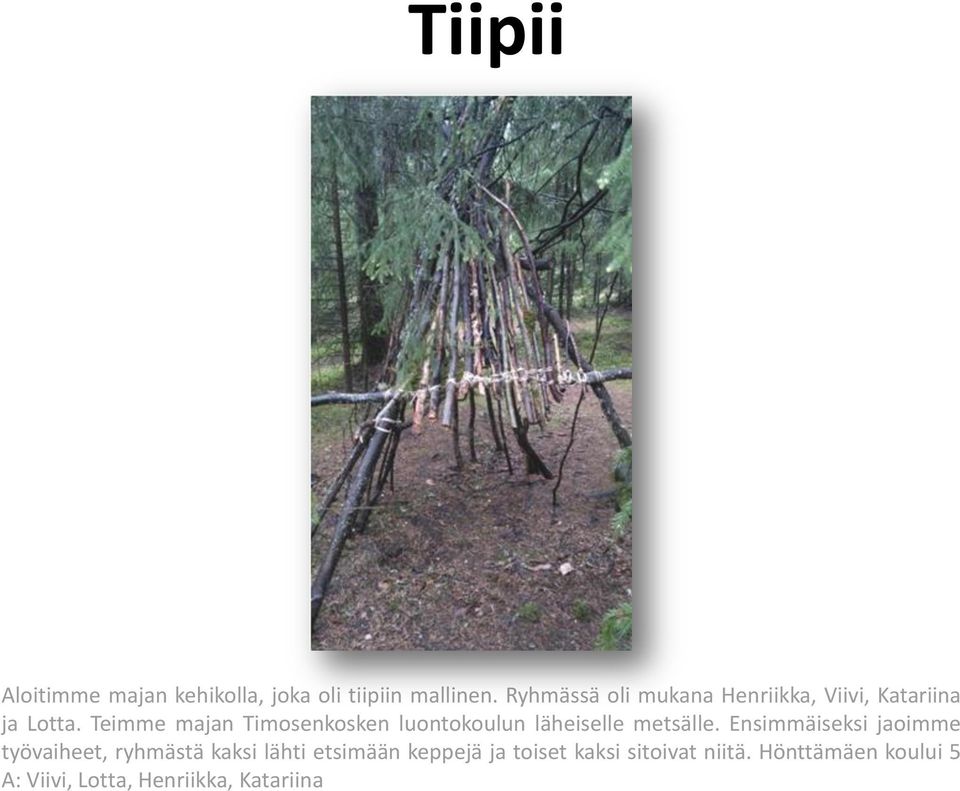 Teimme majan Timosenkosken luontokoulun läheiselle metsälle.