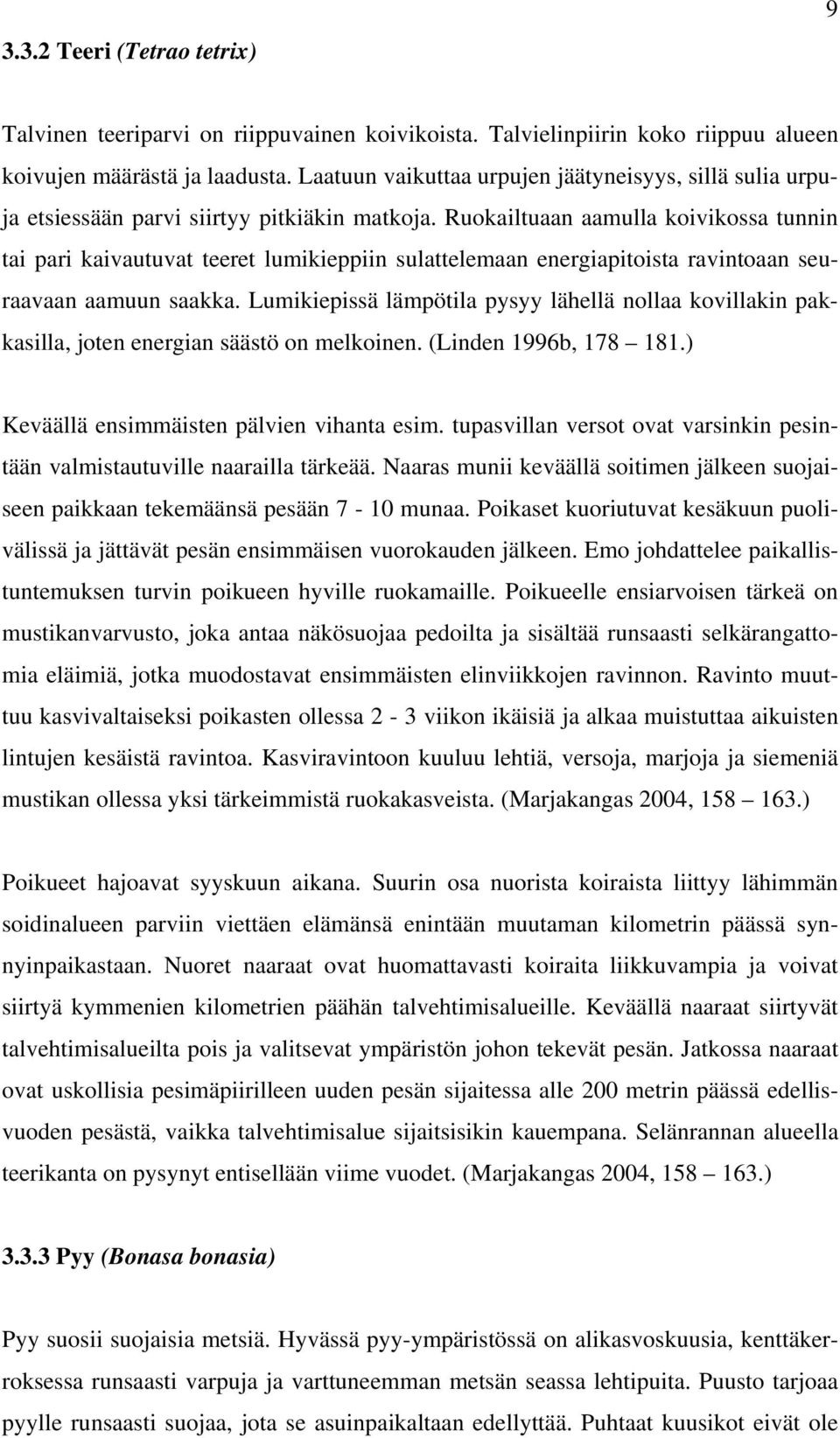 Ruokailtuaan aamulla koivikossa tunnin tai pari kaivautuvat teeret lumikieppiin sulattelemaan energiapitoista ravintoaan seuraavaan aamuun saakka.