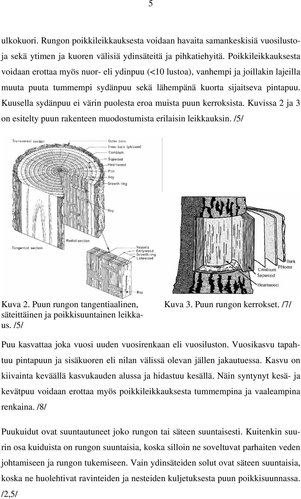 Kuusella sydänpuu ei värin puolesta eroa muista puun kerroksista. Kuvissa 2 ja 3 on esitelty puun rakenteen muodostumista erilaisin leikkauksin. /5/ Kuva 2. Puun rungon tangentiaalinen, Kuva 3.