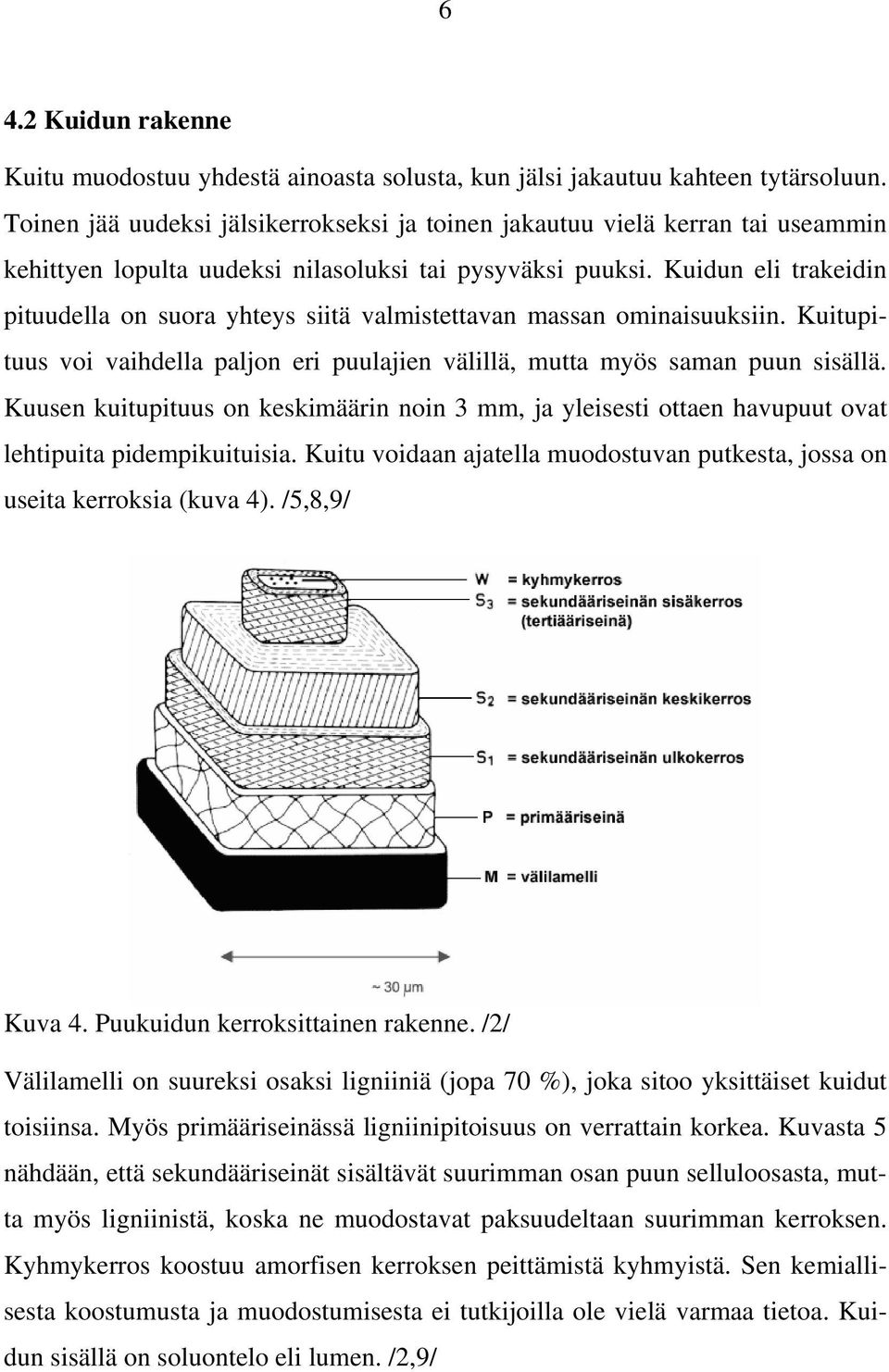 Kuidun eli trakeidin pituudella on suora yhteys siitä valmistettavan massan ominaisuuksiin. Kuitupituus voi vaihdella paljon eri puulajien välillä, mutta myös saman puun sisällä.