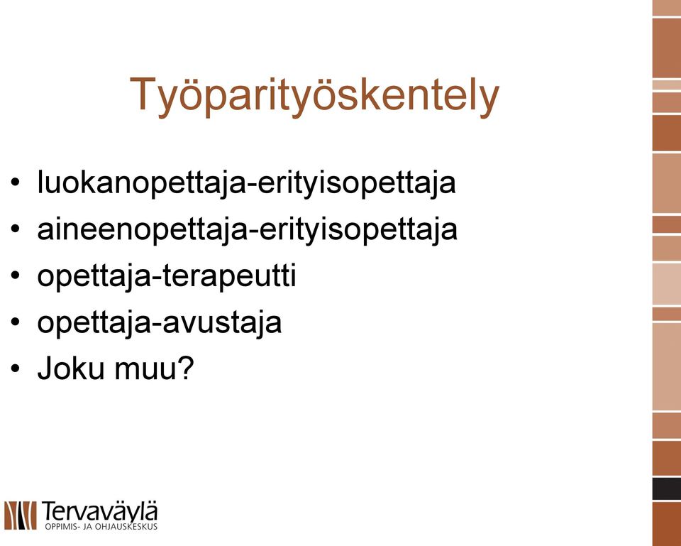 aineenopettaja-erityisopettaja