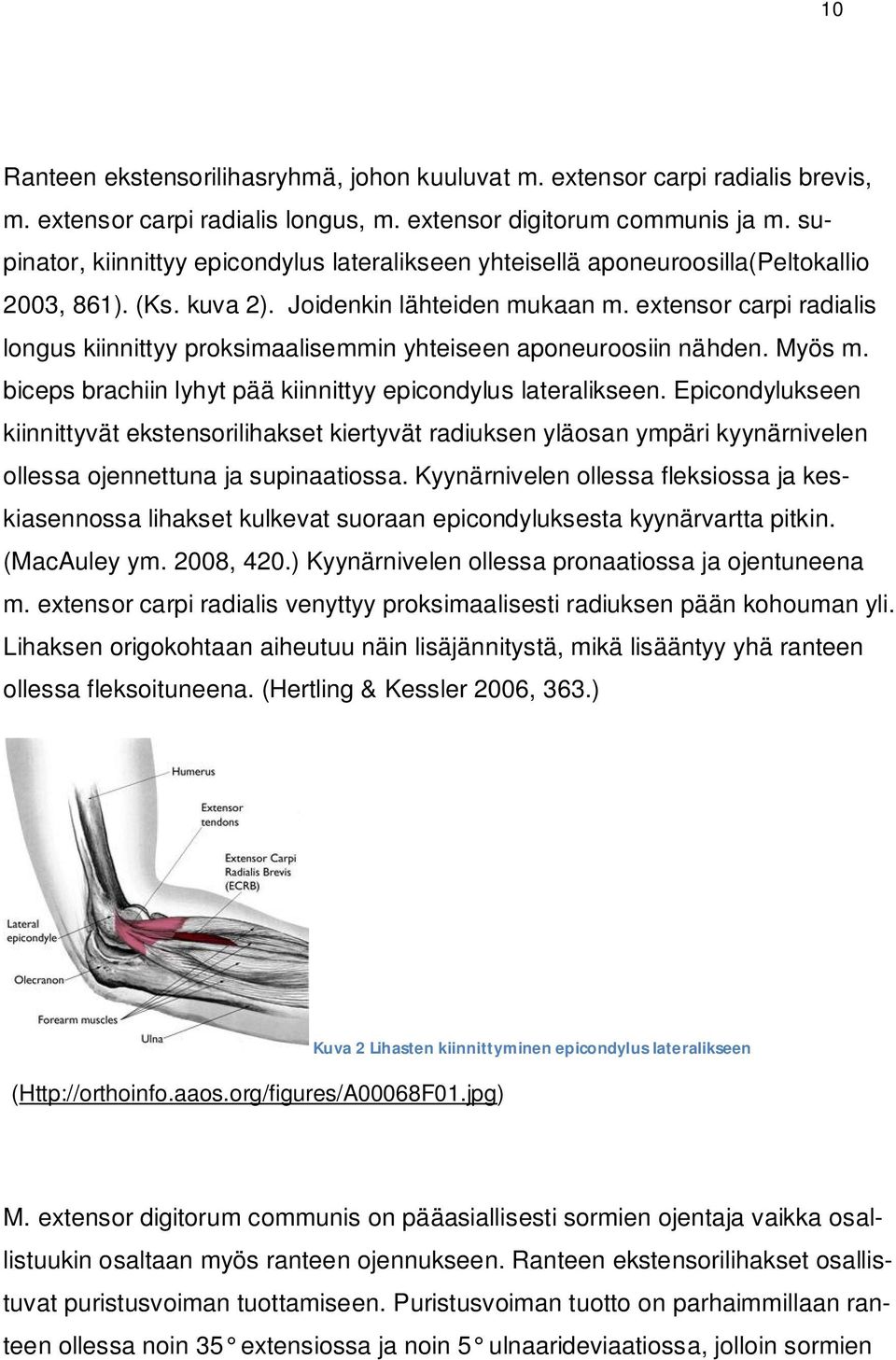 extensor carpi radialis longus kiinnittyy proksimaalisemmin yhteiseen aponeuroosiin nähden. Myös m. biceps brachiin lyhyt pää kiinnittyy epicondylus lateralikseen.