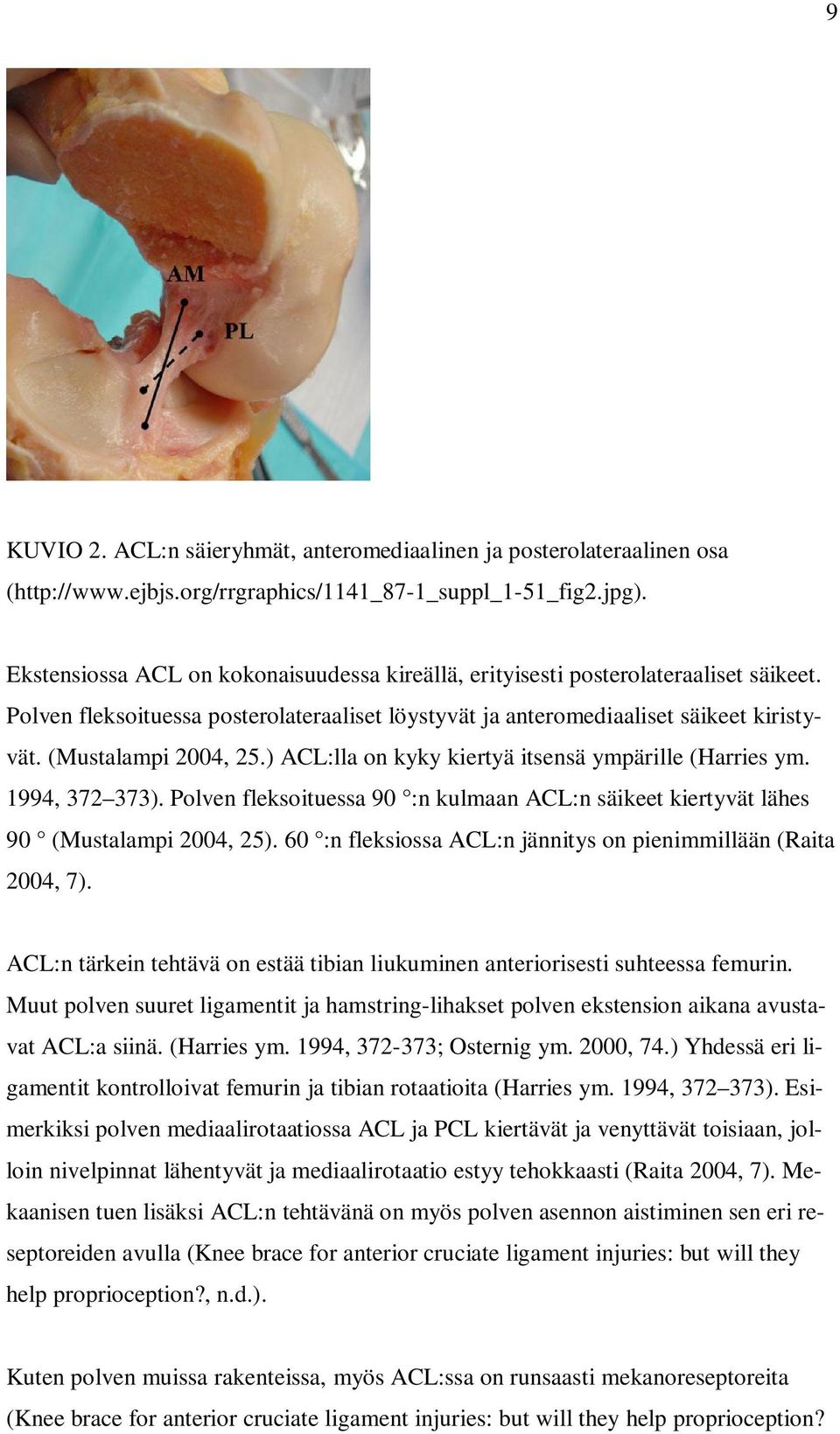 ) ACL:lla on kyky kiertyä itsensä ympärille (Harries ym. 1994, 372 373). Polven fleksoituessa 90 :n kulmaan ACL:n säikeet kiertyvät lähes 90 (Mustalampi 2004, 25).