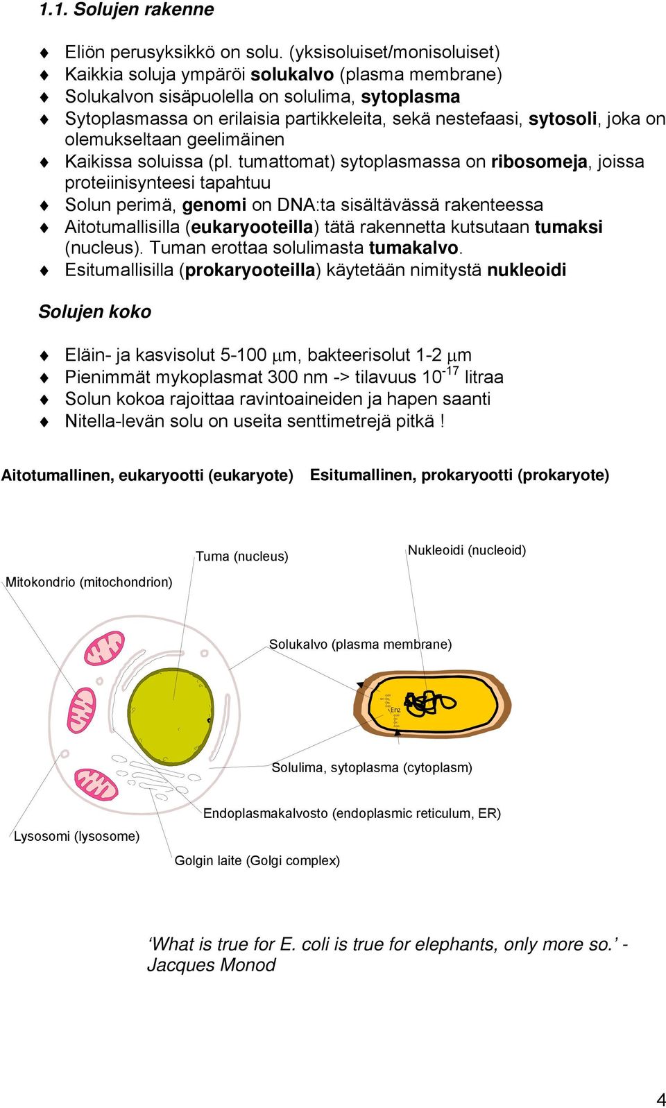 joka on olemukseltaan geelimäinen Kaikissa soluissa (pl.