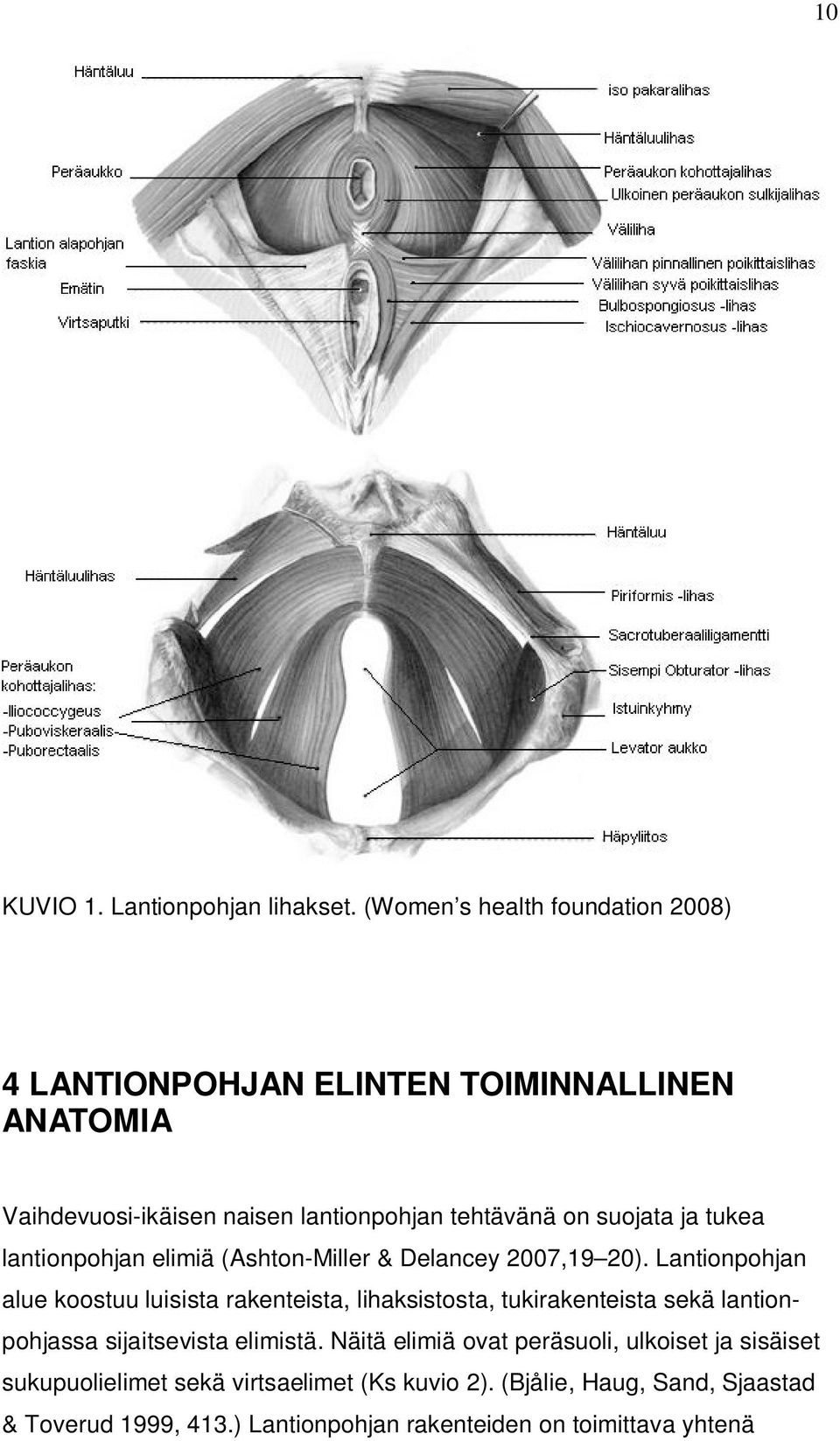 ja tukea lantionpohjan elimiä (Ashton-Miller & Delancey 2007,19 20).