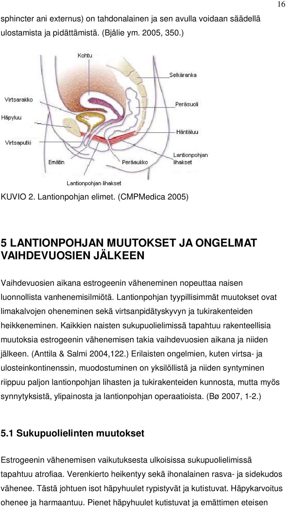 Lantionpohjan tyypillisimmät muutokset ovat limakalvojen oheneminen sekä virtsanpidätyskyvyn ja tukirakenteiden heikkeneminen.