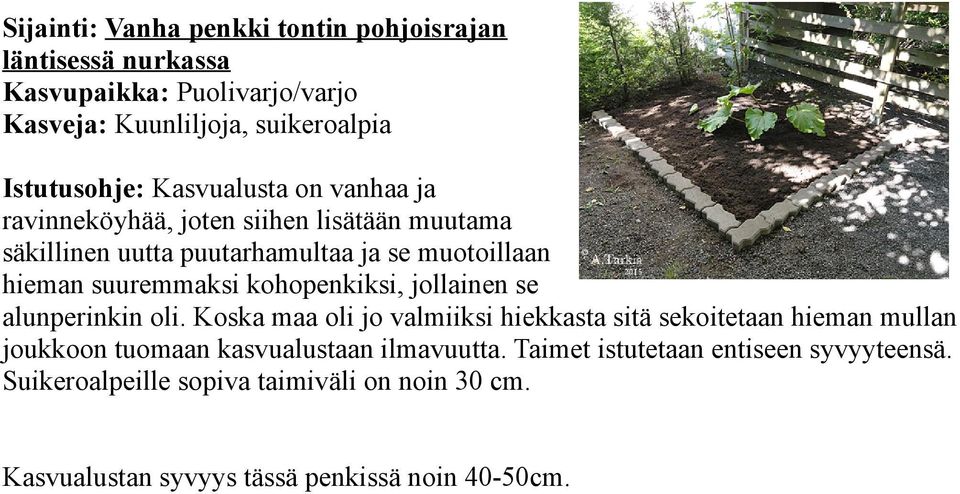 kohopenkiksi, jollainen se alunperinkin oli.