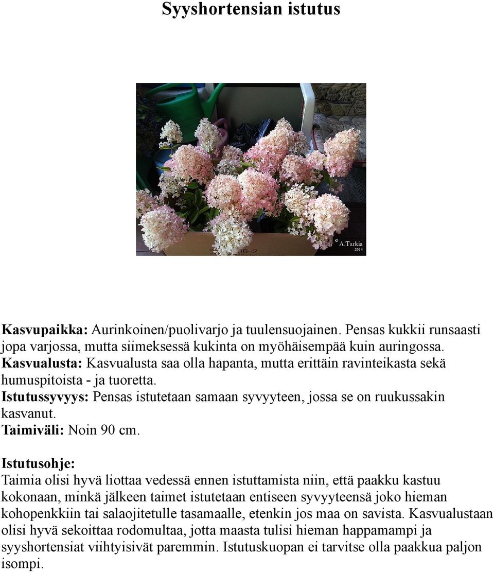 Taimiväli: Noin 90 cm.