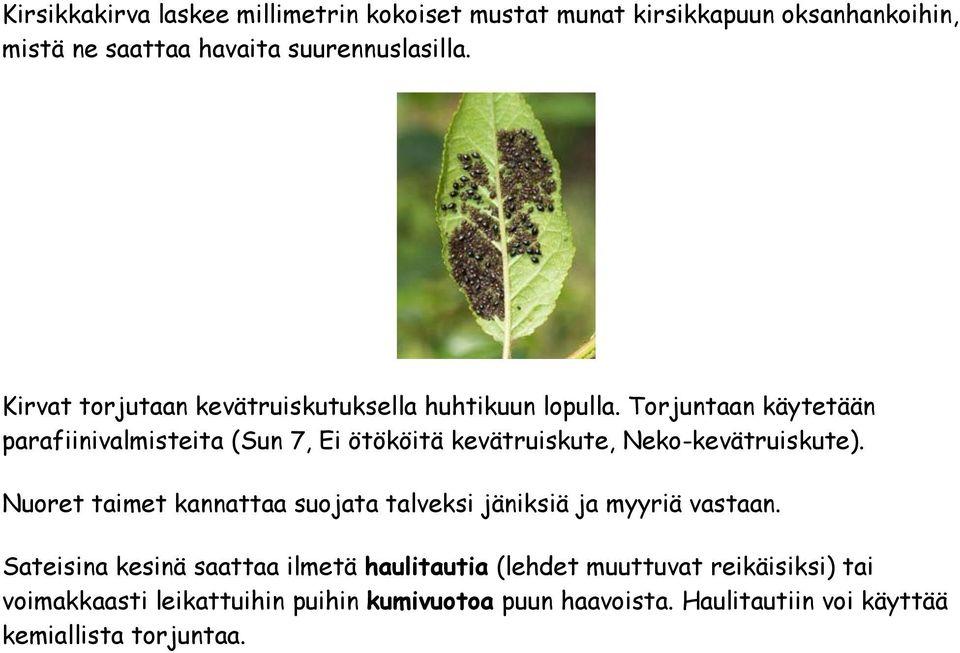 Torjuntaan käytetään parafiinivalmisteita (Sun 7, Ei ötököitä kevätruiskute, Neko-kevätruiskute).