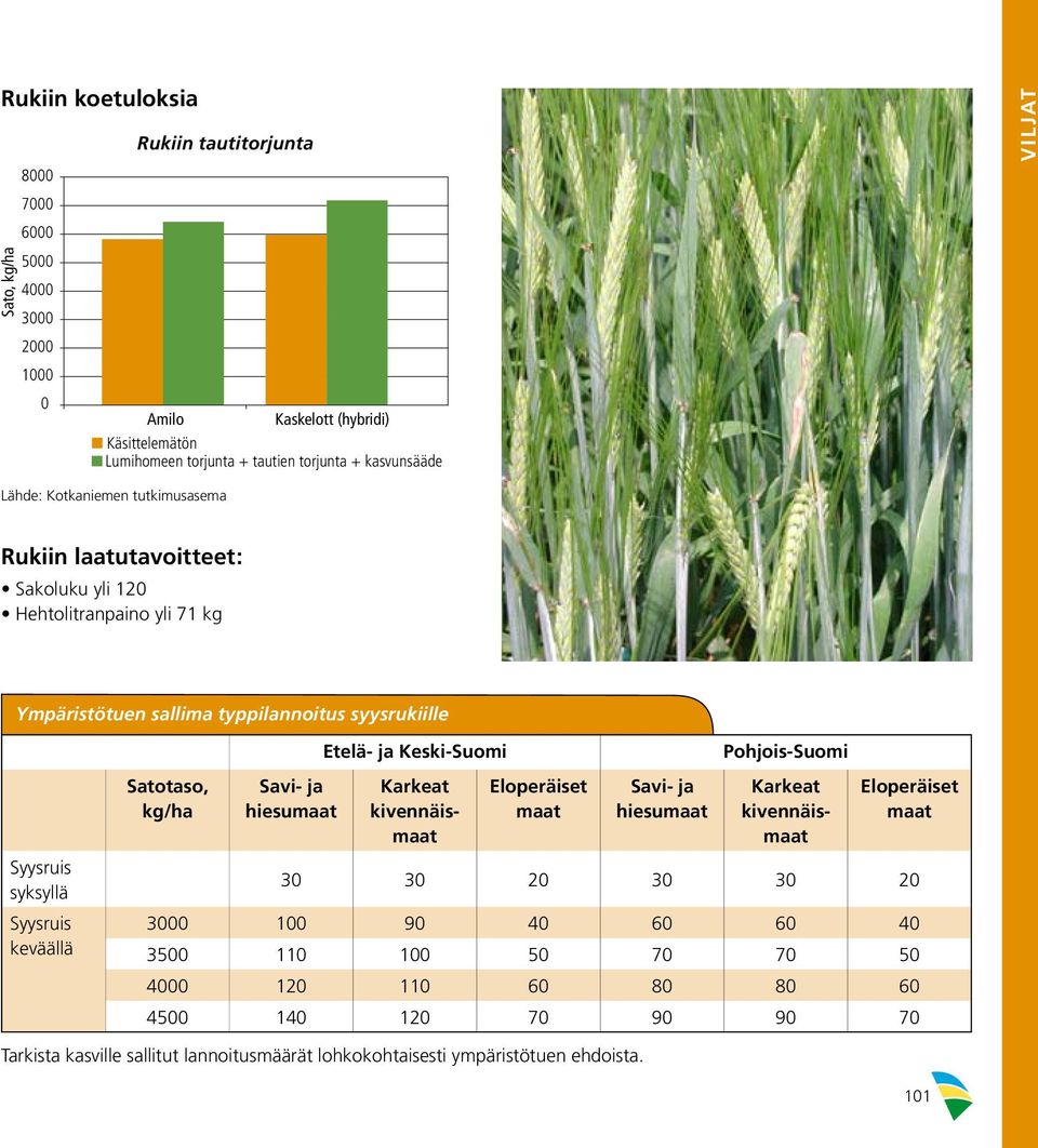 Pohjois-Suomi Syysruis syksyllä Syysruis keväällä Satotaso, kg/ha Savi- ja hiesumaat Karkeat kivennäismaat Eloperäiset maat Savi- ja hiesumaat Karkeat kivennäismaat Eloperäiset maat 30 30