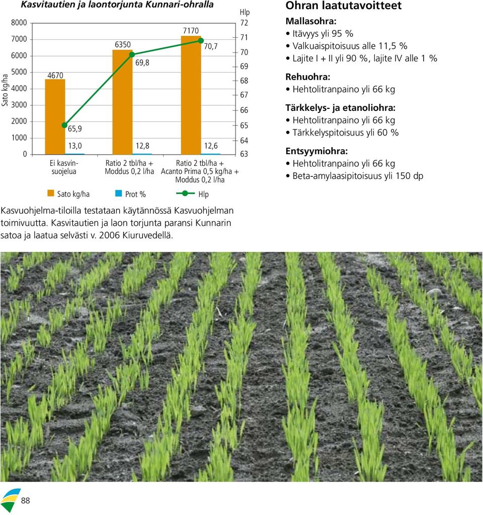 Kasvitautien ja laon torjunta paransi Kunnarin satoa ja laatua selvästi v. 2006 Kiuruvedellä.