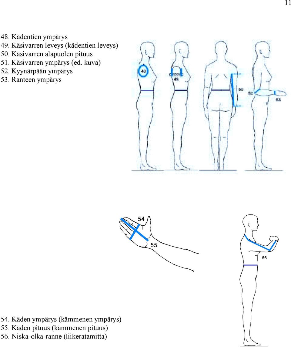 Kyynärpään ympärys 53. Ranteen ympärys 54 55 56 54.