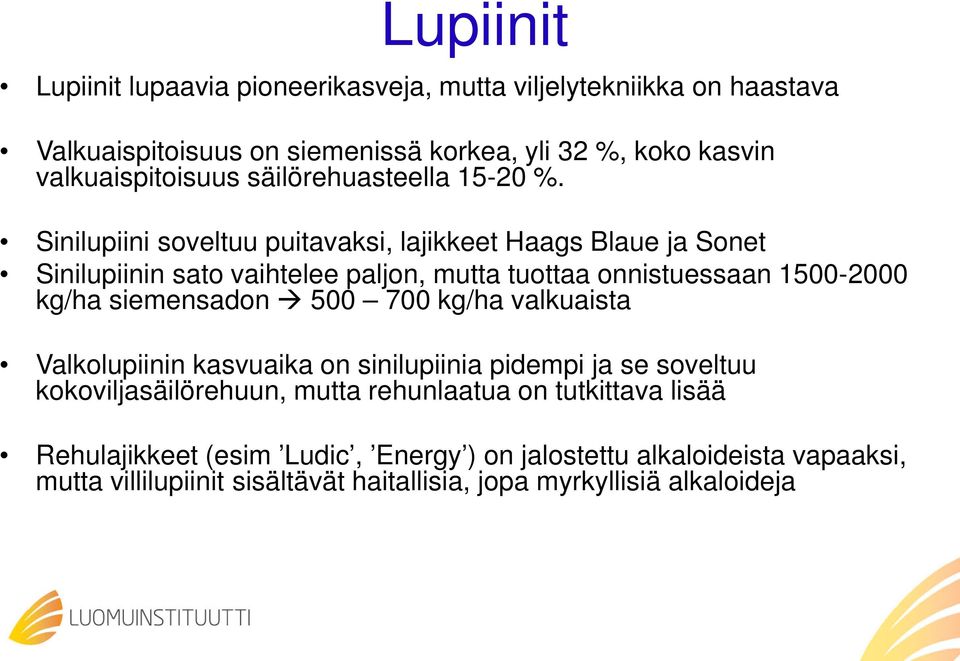 Sinilupiini soveltuu puitavaksi, lajikkeet Haags Blaue ja Sonet Sinilupiinin sato vaihtelee paljon, mutta tuottaa onnistuessaan 1500-2000 kg/ha siemensadon