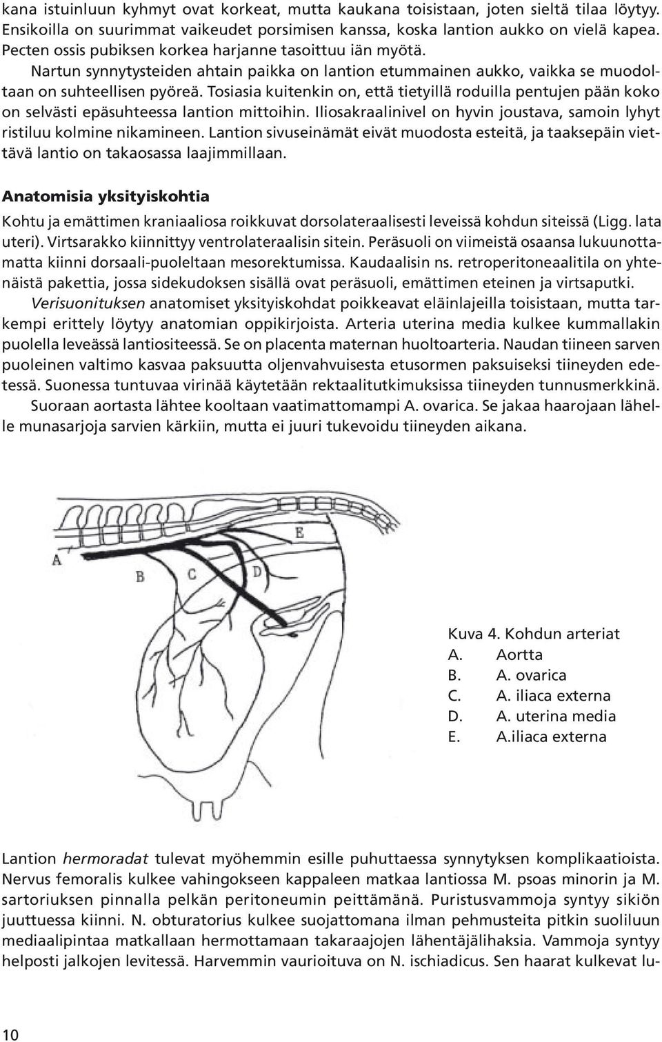 Tosiasia kuitenkin on, että tietyillä roduilla pentujen pään koko on selvästi epäsuhteessa lantion mittoihin. Iliosakraalinivel on hyvin joustava, samoin lyhyt ristiluu kolmine nikamineen.