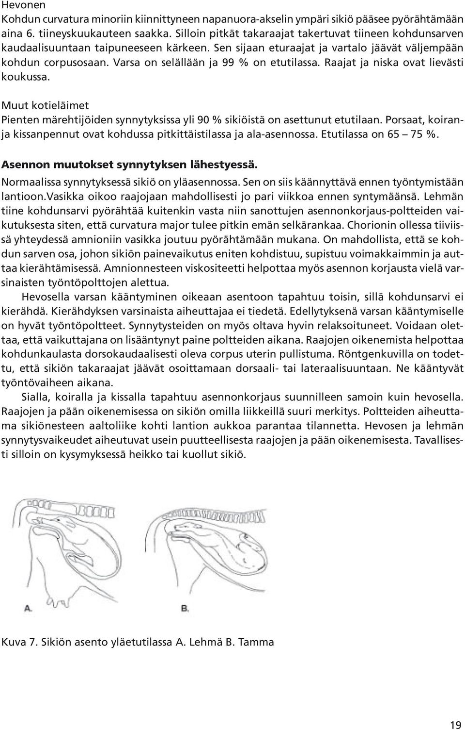 Varsa on selällään ja 99 % on etutilassa. Raajat ja niska ovat lievästi koukussa. Muut kotieläimet Pienten märehtijöiden synnytyksissa yli 90 % sikiöistä on asettunut etutilaan.