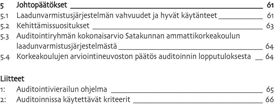 Auditointiryhmän kokonaisarvio Satakunnan ammattikorkeakoulun